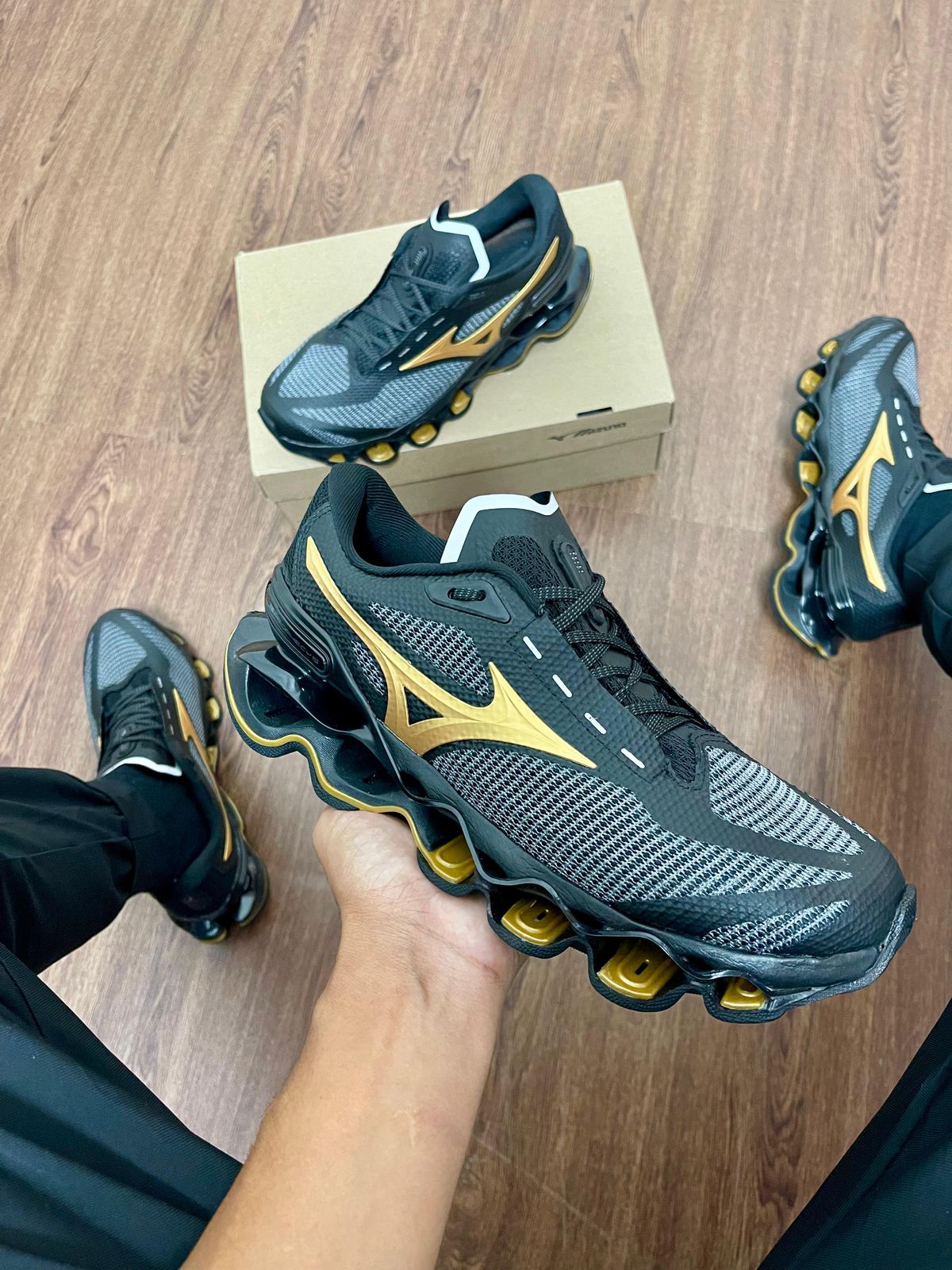 Mizuno prophecy 15