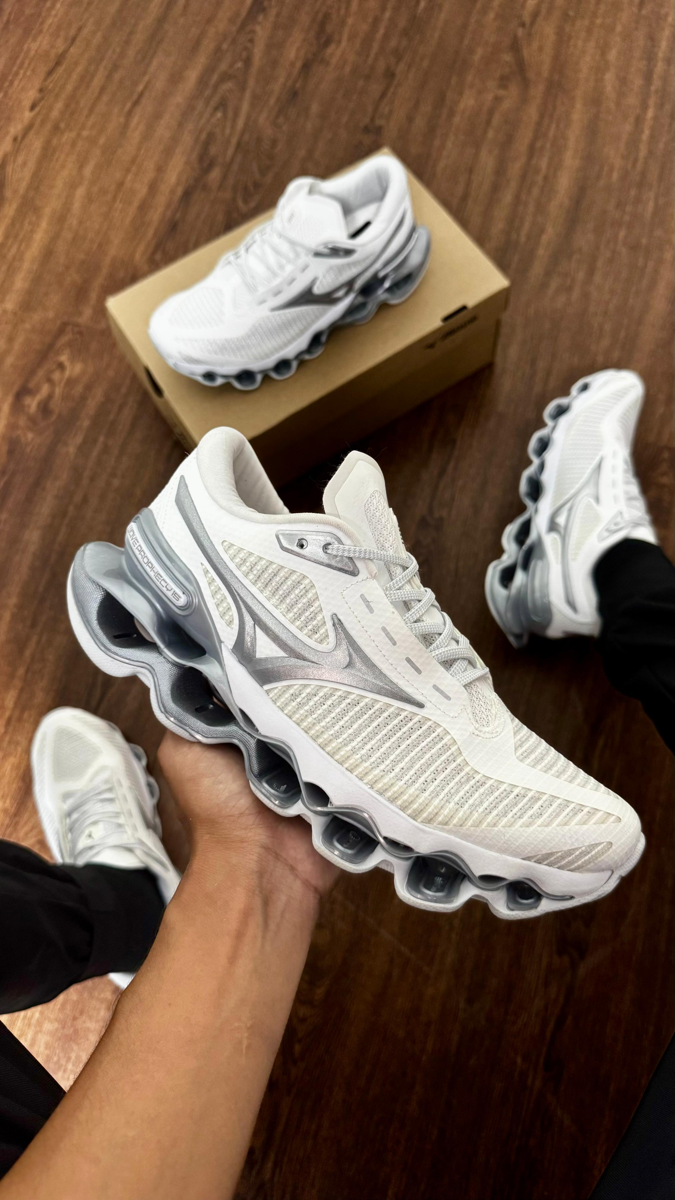Mizuno prophecy 15