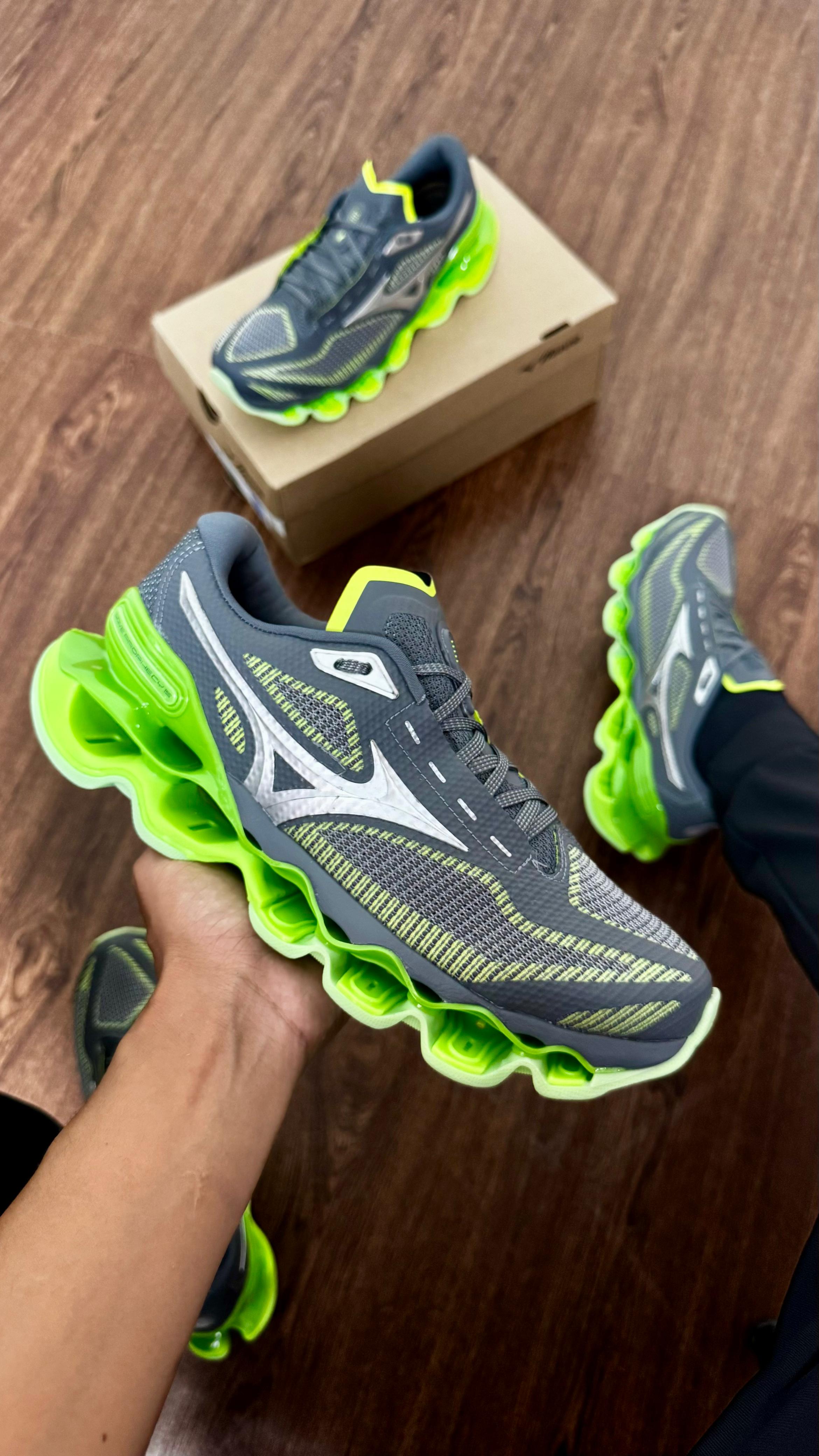 Mizuno prophecy 15