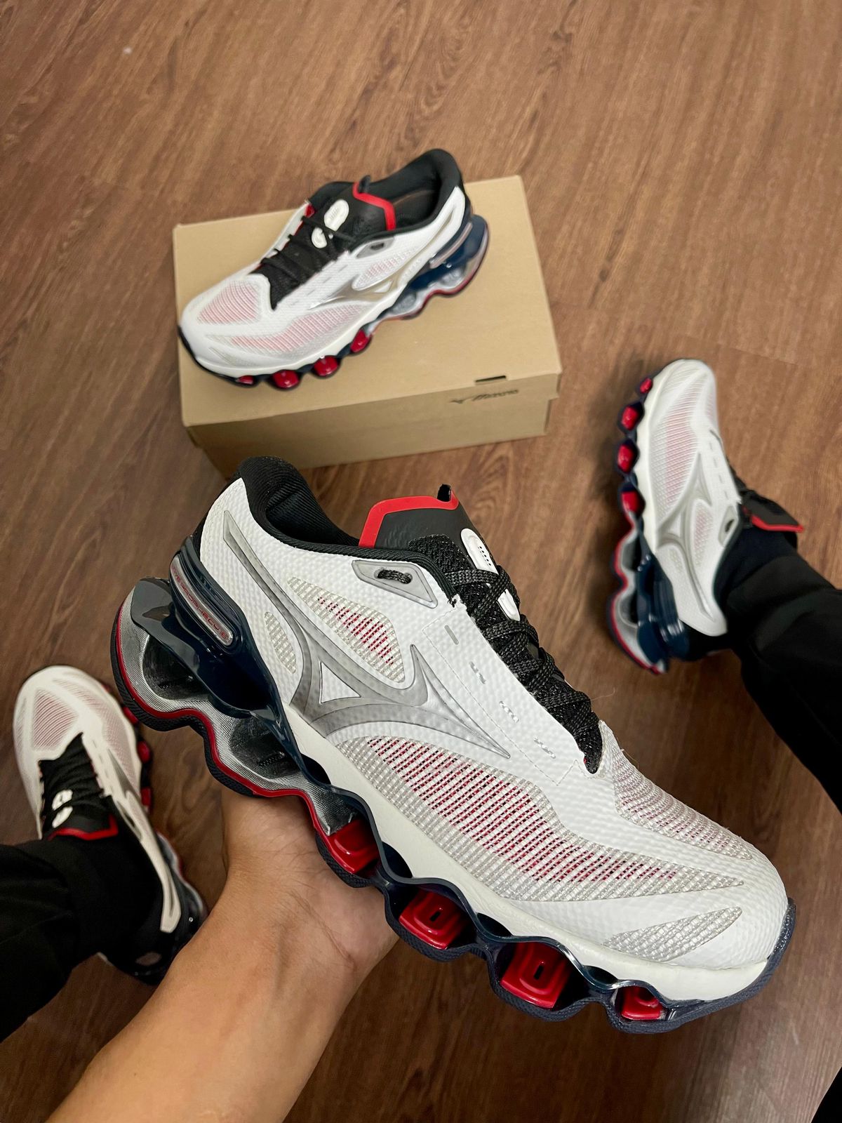 Mizuno prophecy 15