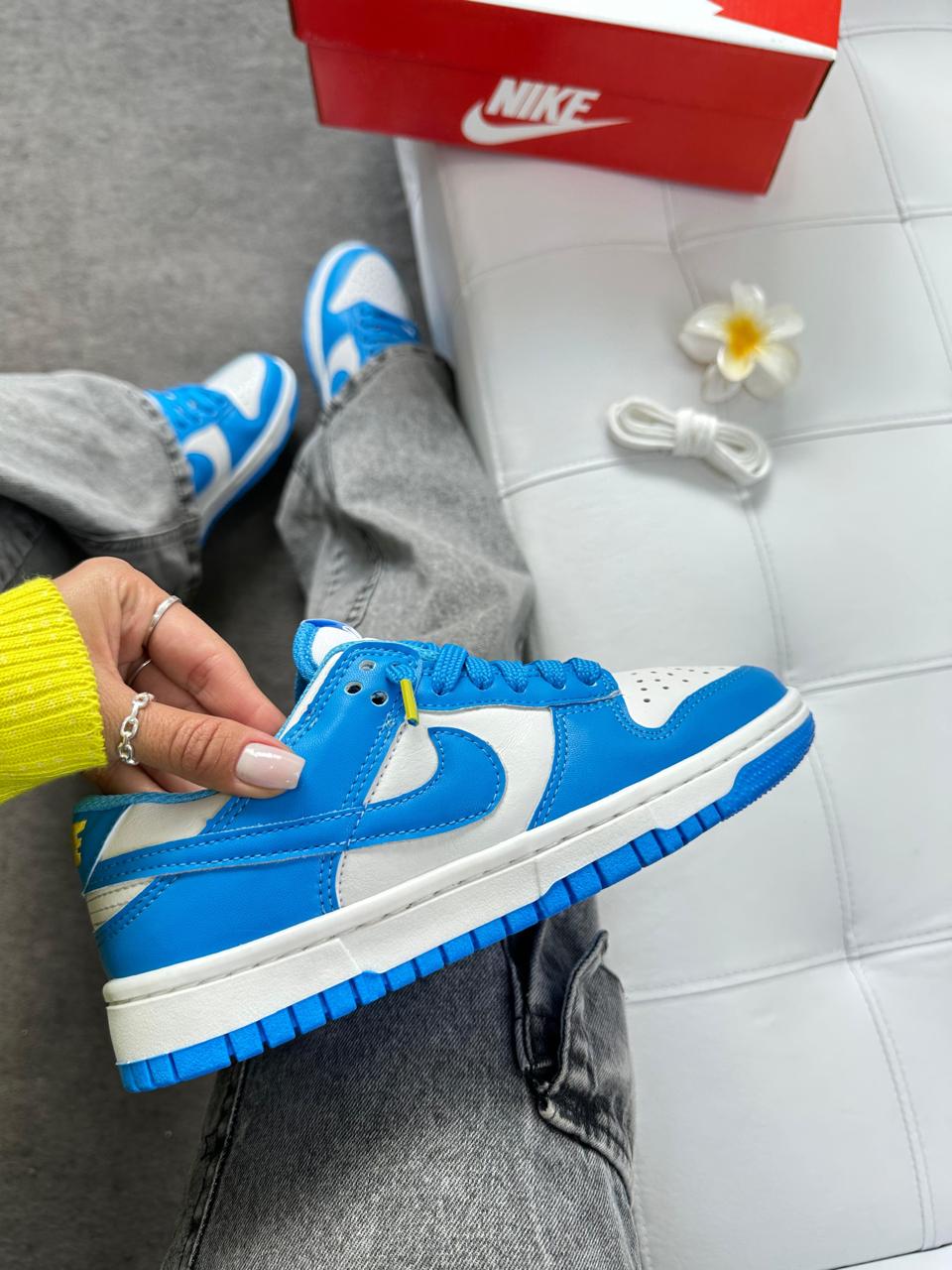 Tênis Nike Dunk